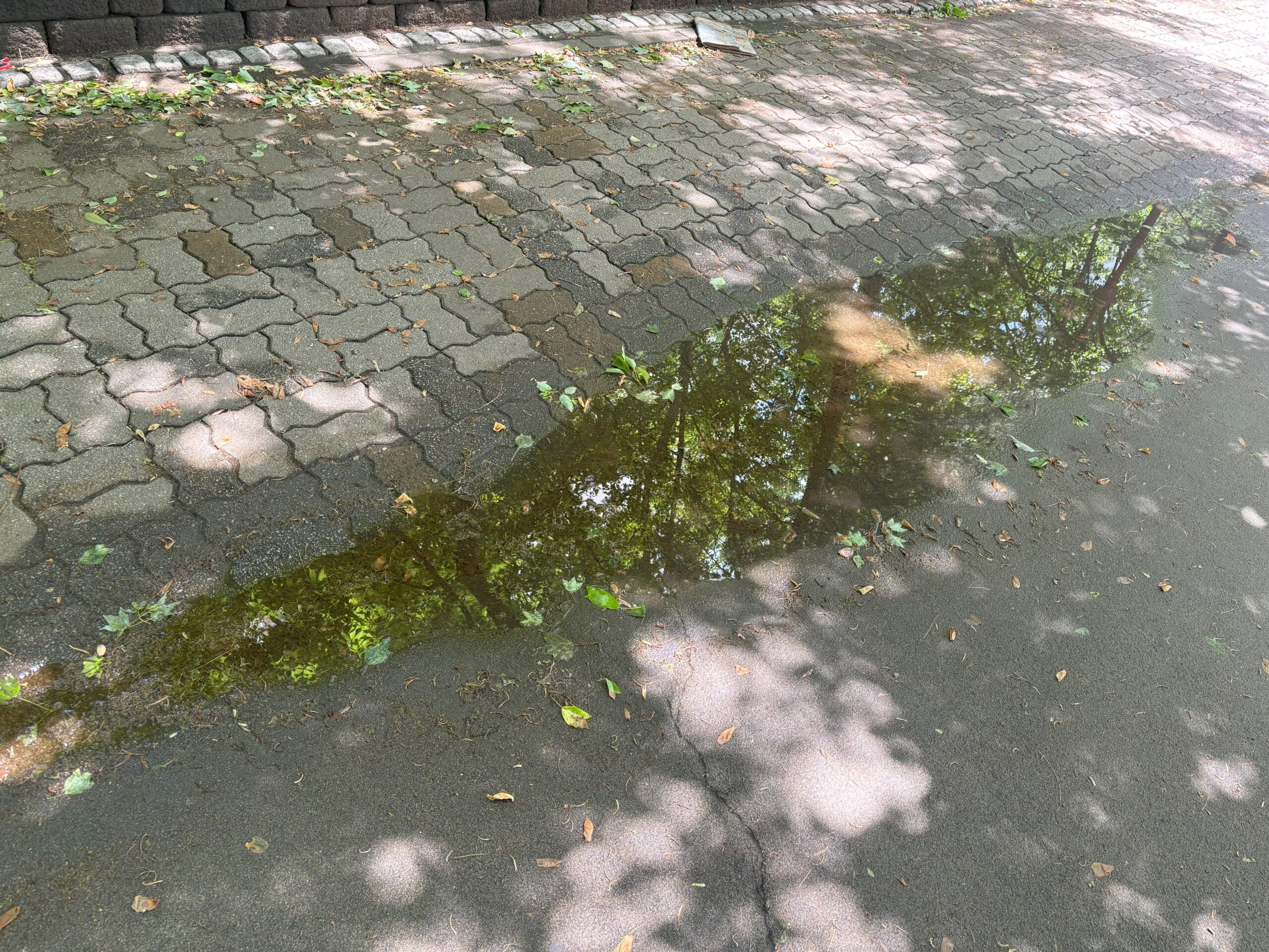 두리번 <after rain>