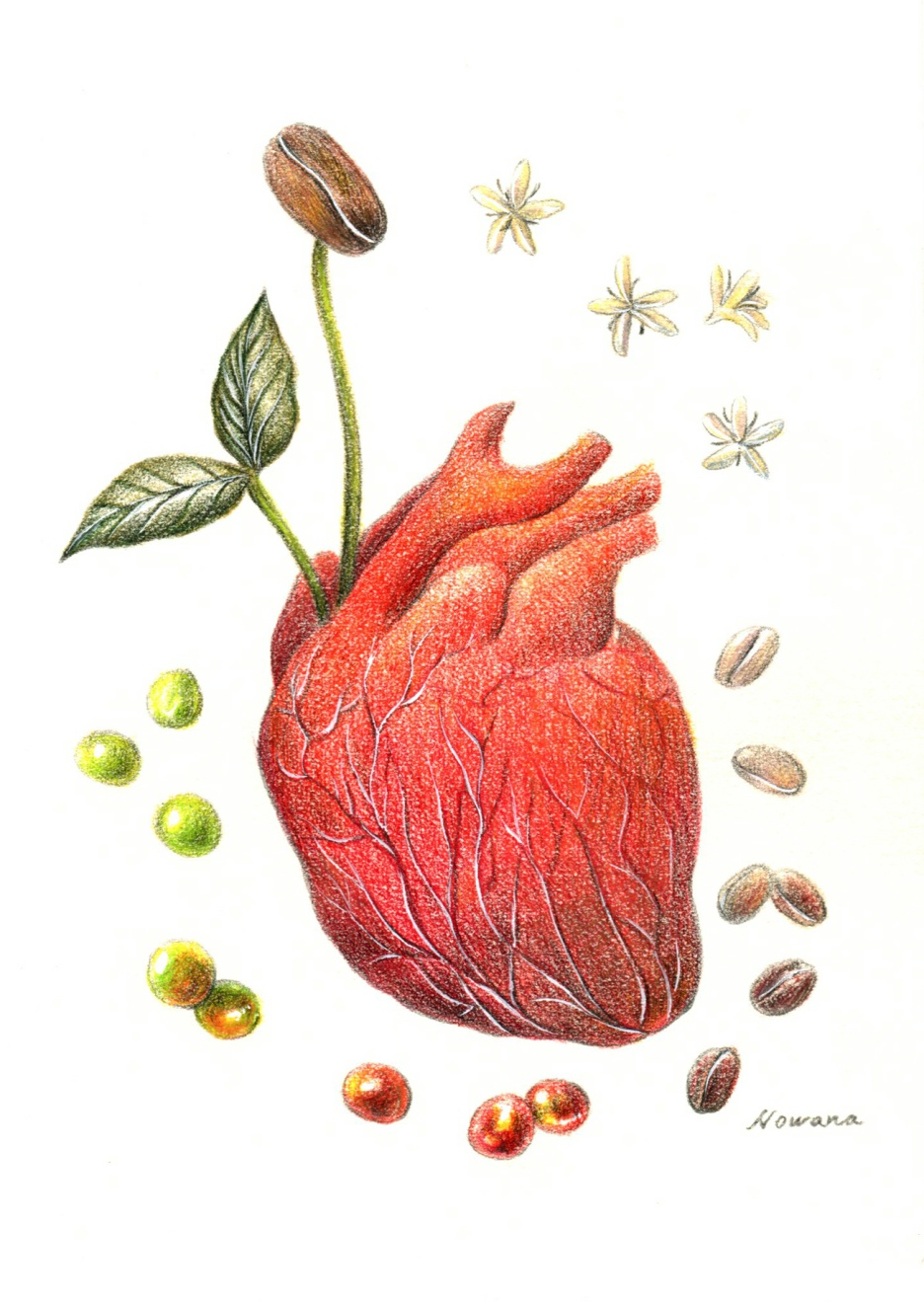 기획2 | 또다른세상__커피